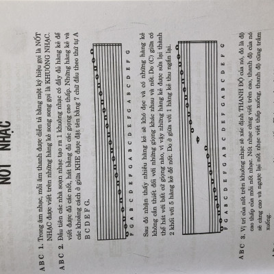 Nhạc Lý Căn Bản