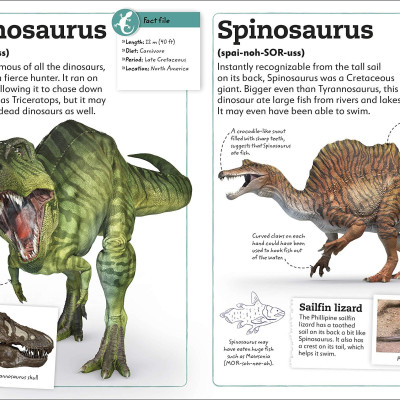 My Book Of Dinosaurs And Prehistoric Life: Animals And Plants To Amaze, Surprise, And Astonish!
