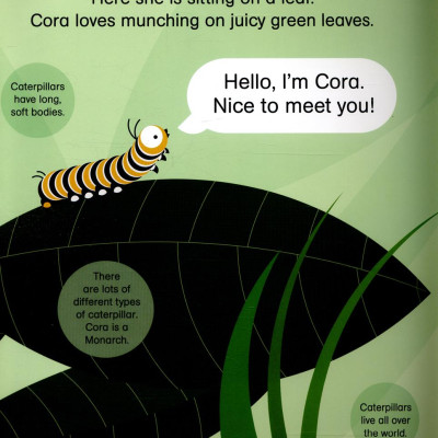 ROUNDS: CORA CATERPILLAR PB