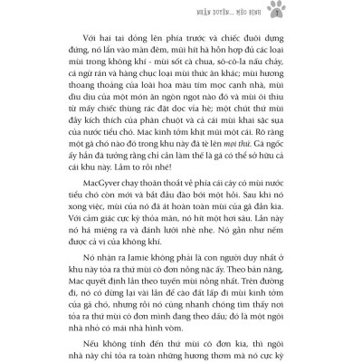 Talk To The Paw Nhân Duyên Mèo Định - Bản Quyền