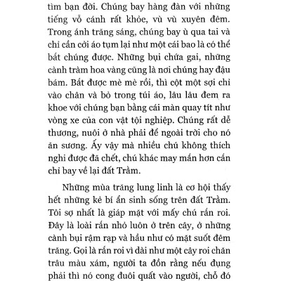 Đi Như Là Ở Lại (Tái Bản)