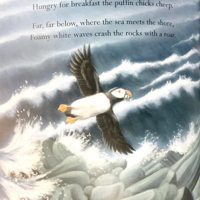 Where Snowflakes Fall