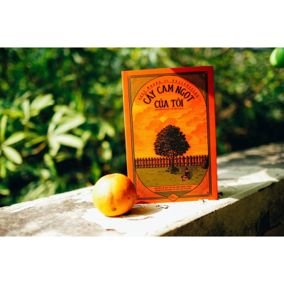 Combo 2 Cuốn Văn Học Kinh Điển: Cây Cam Ngọt Của Tôi nn + Cam Không Phải Loại Quả Duy Nhất 1980