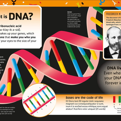 The Dna Book: Discover What Makes You You