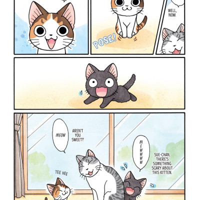 Sue & Tai-chan 4 (Graphic Novels)