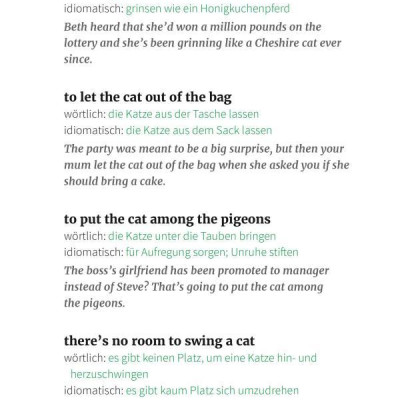 Langenscheidt And pigs might fly: Bildhaft sprechen mit 250 englischen Redewendungen