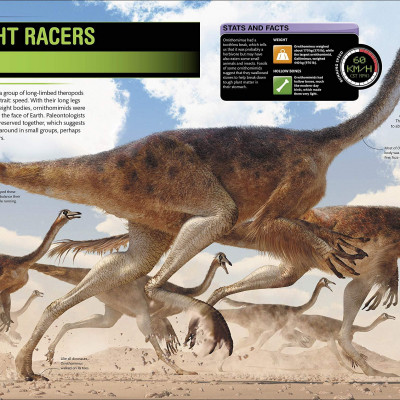 SuperDinosaur: The Biggest, Fastest, Coolest Prehistoric Creatures