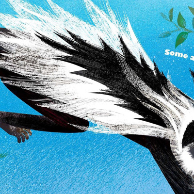 Feathers And Hair, What Animals Wear