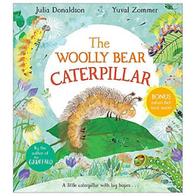The Woolly Bear Caterpillar