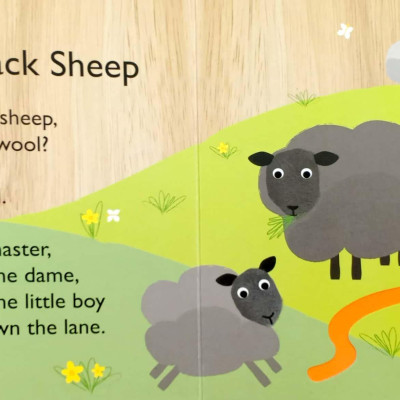 Touch & Trace: This Little Piggy