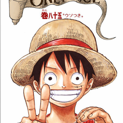 One Piece 85