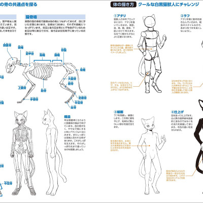獣人の描き方 (超描けるシリーズ) SHISHIJIN NO EGAKI KATA RIARUKEMO KARA DEFORUMEKE
