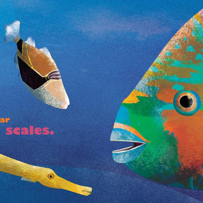 Feathers And Hair, What Animals Wear