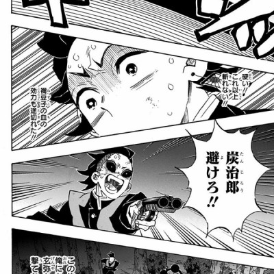 鬼滅の刃 14 - ONI METSU NO HA 14