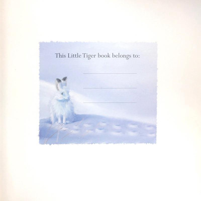 Where Snowflakes Fall