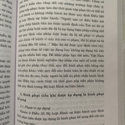 Sách - Hình phạt tiền trong pháp luật hình sự Việt Nam và thực tiễn áp dụng