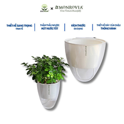 Chậu tự tưới treo tường đáy trong suốt Monrovia, chất liệu nhựa PP,  phù hợp mọi không gian nhà