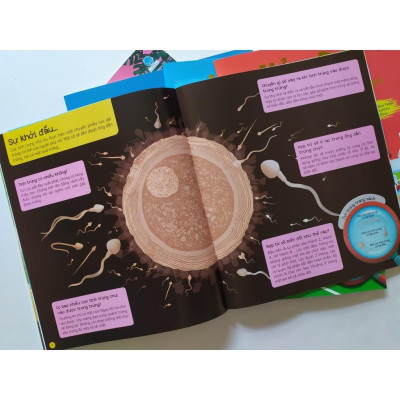 Combo Gồm 6 Cuốn: Hỏi - Đáp