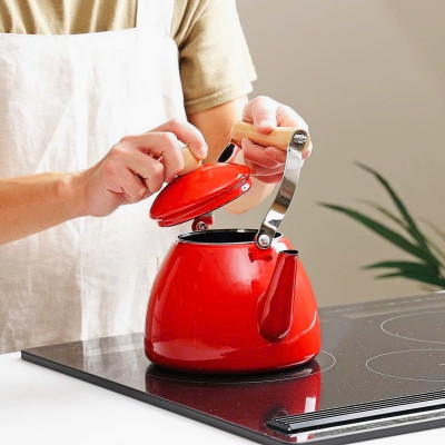 Ấm đun nước bếp từ phong cách Decor Pearl Metal 2.5L