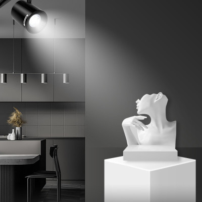 Đèn Rọi ray, Đèn chiếu điểm Spotlight Panasonic Công suất 7W Loại Gắn thanh ray và Loại Gắn trần