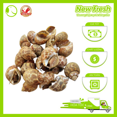 [GIAO NHANH HCM] Ốc Bulot Pháp -  Túi 1Kg