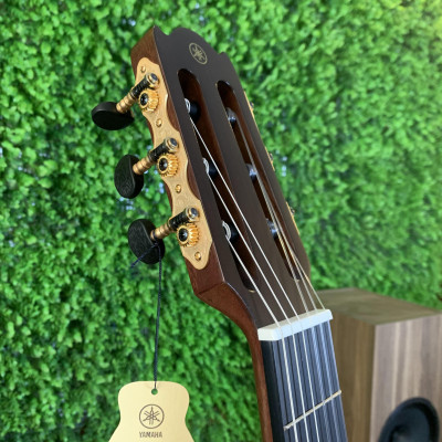 Đàn Guitar Nylon Yamaha NCX3C