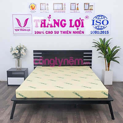 Nệm foam cao cấp TL Tundo có massage 
