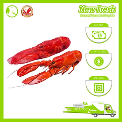 [GIAO NHANH HCM] Tôm Hùm Baby Canada Hấp - Túi 1Kg