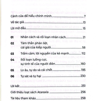 Ý Nghĩa Của Sự Điên Loạn - Cách Nhận Diện Nguồn Cơn Và Xử Lý Những Nỗi Đau Tinh Thần Sâu Trong Bạn
