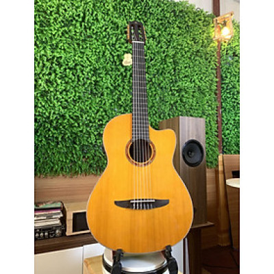 Đàn Guitar Nylon Yamaha NCX3C