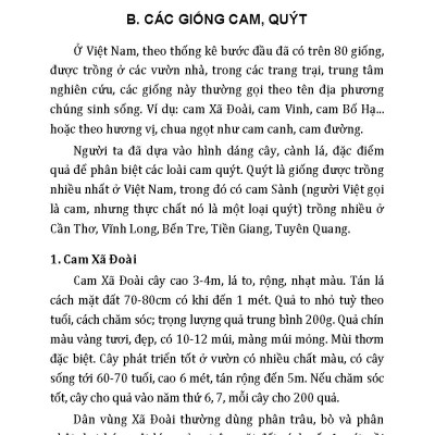 Kỹ Thuật Trồng, Chăm Sóc Cho Năng Suất Cao: Cam, Quýt, Bưởi, Táo, Na, Hồng