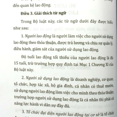 Bộ Luật Lao Động Của Nước Cộng Hòa Xã Hội Chủ Nghĩa Việt Nam (Áp Dụng Từ Ngày 01-01-2021)