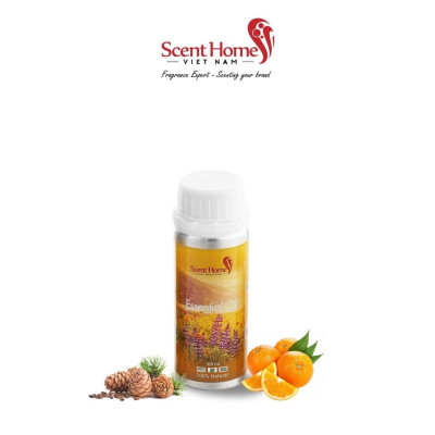 Tinh dầu Scent Homes - mùi hương (Healton)