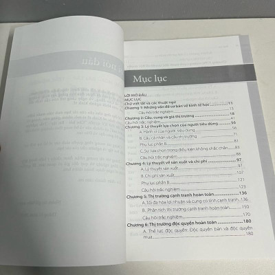 Sách - Câu Hỏi - Bài Tập - Trắc Nghiệm Kinh Tế Vi Mô (Trường ĐH Kinh Tế TP. Hồ Chí Minh)