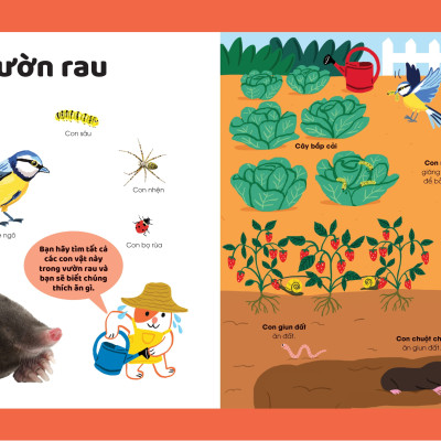 Sách - Khám Phá Đầu Tiên Của Tớ Về...Động Vật