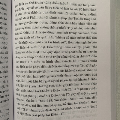 Sách - Hình phạt tiền trong pháp luật hình sự Việt Nam và thực tiễn áp dụng