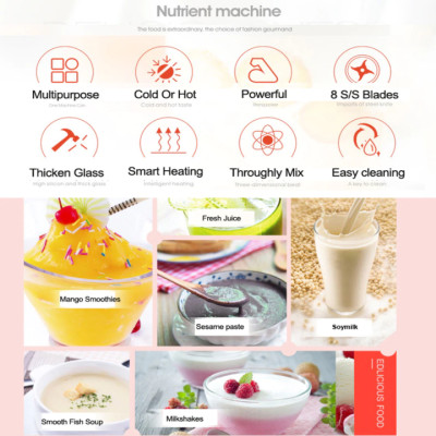 Máy xay và làm sữa hạt đa năng thương hiệu cao cấp Biolomix H5300 - Công suất 1500W - HÀNG NHẬP KHẨU 