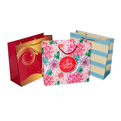 TÚI DÂY NGANG LỚN TN010 - 27 X 30 X 12 CM - NGẪU NHIÊN