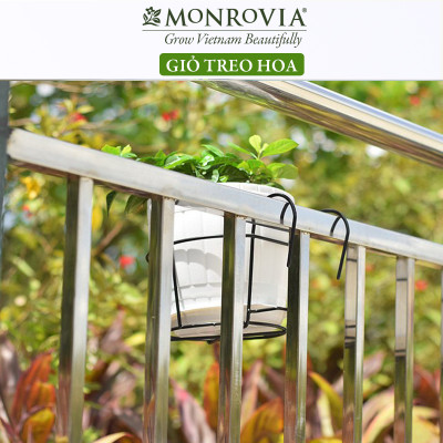 Combo 3 Giỏ treo chậu hoa ban công MONROVIA, giỏ sắt treo chậu hoa ban công, chậu treo ban công, kệ treo ban công, móc treo, khung thép, sơn tĩnh điện chính hãng thương hiệu MONROVIA 