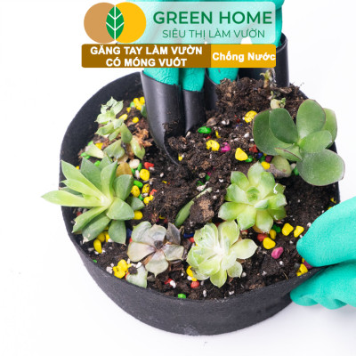 Găng tay làm vườn, có móng vuốt, độ bền cao, chống thấm nước, đào, xới đất, dễ vệ sinh |Greenhome