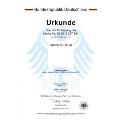 Günter & Hauer Máy Hút Bụi Cầm Tay Máy Hút Bụi Không Dây Sạc Điện 4 Trong 1 Đầu Chổi Một Máy Đa Năng V16 - Hàng chính hãng