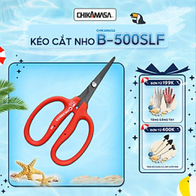 Kéo cắt nho cao cấp Nhật Bản Chikamasa B-500SLF