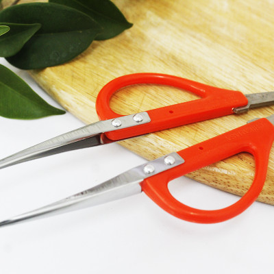 Kéo cắt nho cao cấp Nhật Bản Chikamasa B-300SU