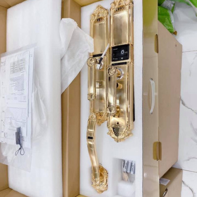 Khóa vân tay tân cổ đại sảnh DEMAX SL821 Gold