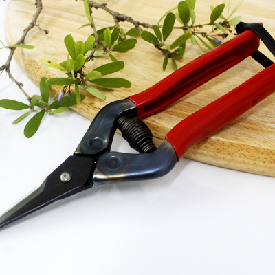 Kéo tỉa cành cao cấp Nhật Bản Chikamasa T-5C chiều dài lưỡi 35mm - lưỡi thép không gỉ chất lượng cao siêu bén - Cắt ngọt, không bám dính, liền sẹo nhanh