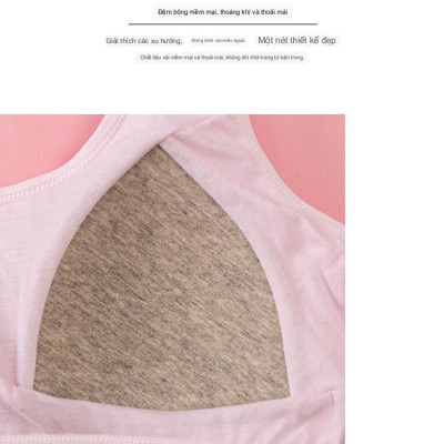 Áo Lót Nữ Học Sinh Ba Lỗ Cotton Thông Hơi Mút Liền 1376 – Êm Ái, Thoáng Mát