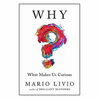 Why? What Makes Us Curious