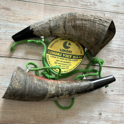 Tù Và Bằng Sừng Trâu Thô