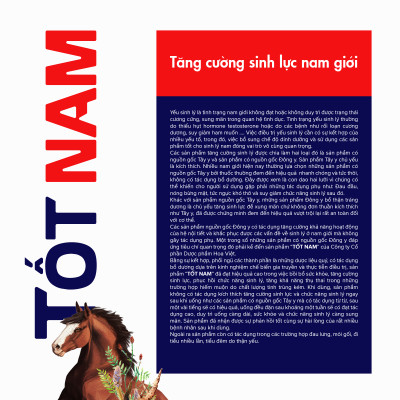 Viên uống bổ thận tráng dương tăng cường sinh lực nam giới Tốt Nam Hoa Việt (Hộp cao cấp)