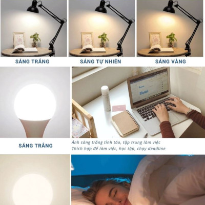 Đèn học PIXAR Bóng LED Chống Cận Bảo Vệ Mắt Có Tặng Kẹp Bàn Chắc Chắn ĐK 12cm Chất Liệu Thép Phun Sơn Tĩnh Điện D Danido